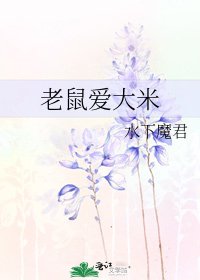 老鼠爱大米