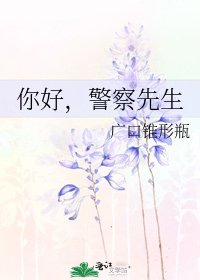 你好,警察先生