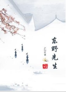 东野先生