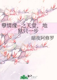 孽情缘--之天堂,地狱只一步