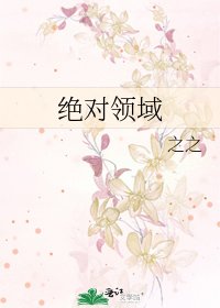 绝对领域