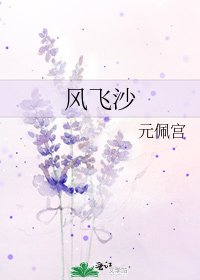 风飞沙