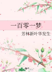 一百零一梦