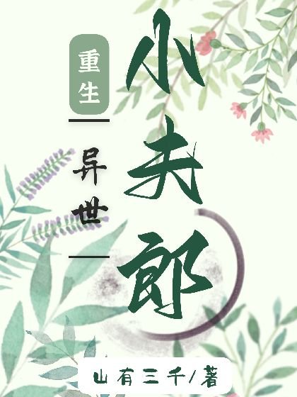 重生异世小夫郎