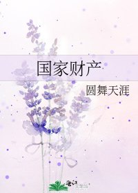 国家财产