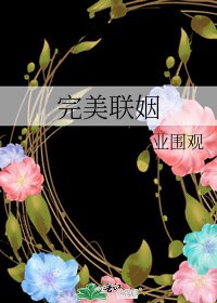 完美联姻