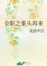 全职之重头再来