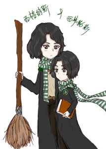 HP听说我应该是个食死徒