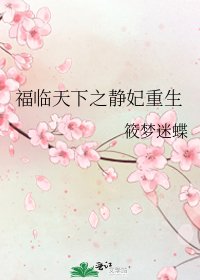福临天下之静妃重生