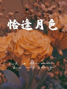 恰逢月色