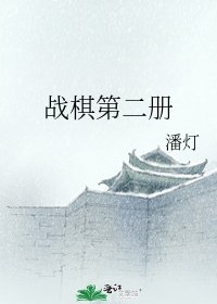 战棋第二册