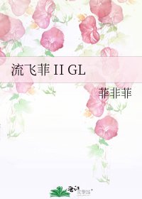 流飞菲 II GL