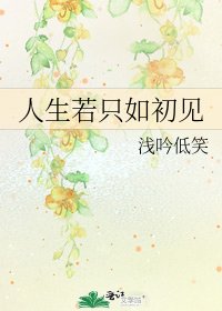 人生若只如初见