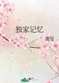 独家记忆