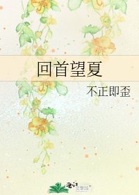回首望夏