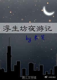 浮生坊夜游记