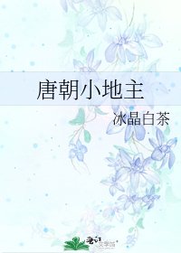 唐朝小地主