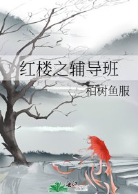 红楼之辅导班