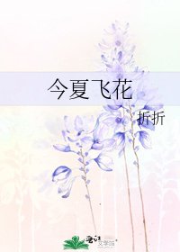 今夏飞花