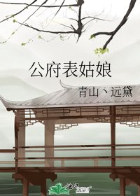 公府表姑娘