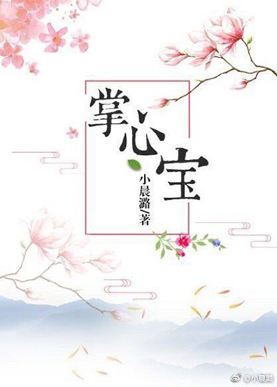 掌心宝