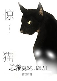 惊!野猫总裁竟然...