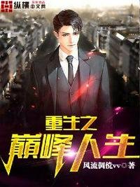 重生之巅峰人生