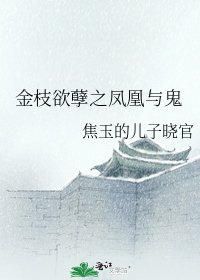 金枝欲孽之凤凰与鬼