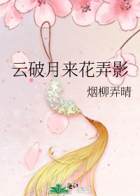 云破月来花弄影