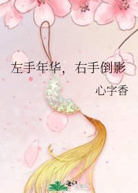 左手年华,右手倒影