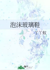 泡沫玻璃鞋