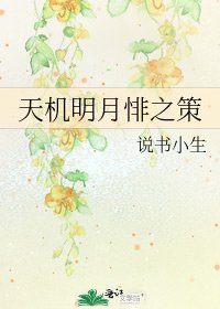 天机明月悱之策