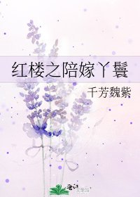 红楼之陪嫁丫鬟