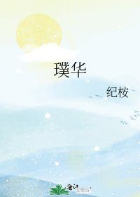 璞华