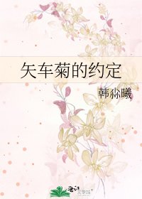 矢车菊的约定