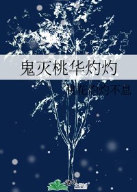 鬼灭桃华灼灼