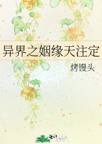 异界之姻缘天注定