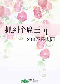 抓到个魔王hp