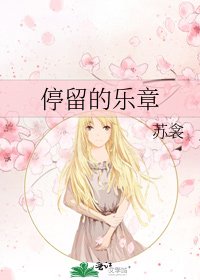 停留的乐章