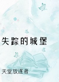 失踪的城堡