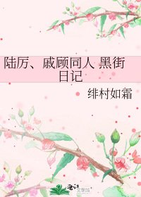 陆厉、戚顾同人 黑街日记
