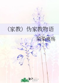 (家教)伪家教物语