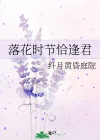落花时节恰逢君