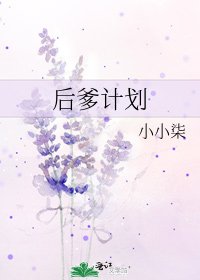 后爹计划