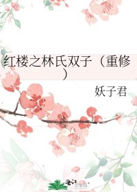 红楼之林氏双子(重修)