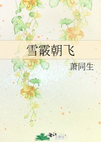 雪霰朝飞