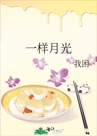 一样月光
