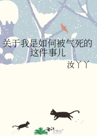 关于我是如何被气死的这件事儿