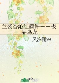 兰袭香沁红颜许--极品乌龙