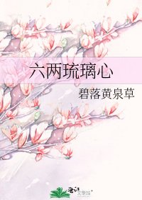 六两琉璃心